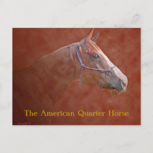 Carte Postale L'American Quarter Horse