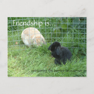 Carte Postale L'amitié, c'est... surmonter les barrières entre