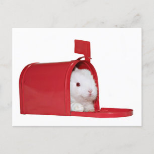 Carte Postale L'amour dans le courrier