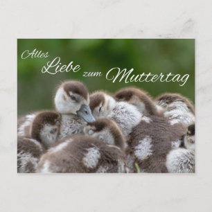 Carte Postale L'Amour de la Fête des mères