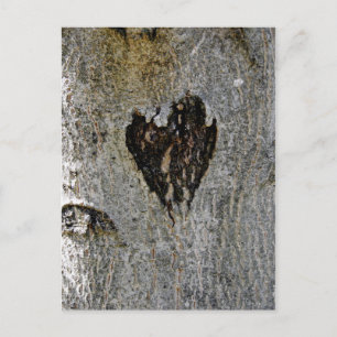 Carte Postale L'amour de la nature