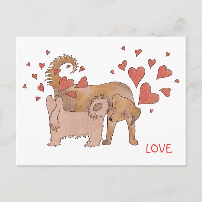 Carte Postale L'amour des chiens (Devant)