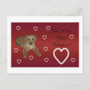 Carte Postale L'amour des chiots