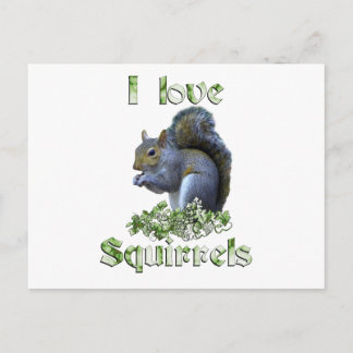 Carte Postale L'amour des écureuils