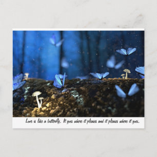 Carte Postale L'amour est comme un papillon
