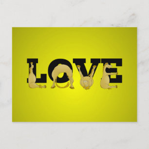 Carte Postale L'AMOUR fait par un poney très flexible