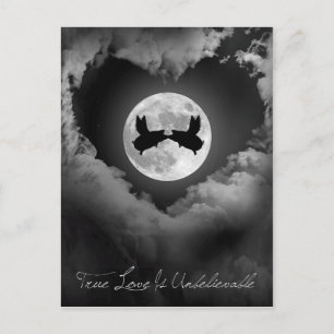 Carte Postale L'Amour Véritable Est Des Chiens Incroyables Qui V