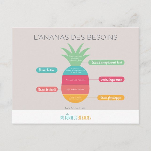 Carte Postale L'ananas des besoins (Devant)