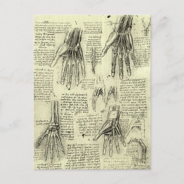 Carte Postale L'anatomie de la main humaine de Léonard de Vinci (Devant)