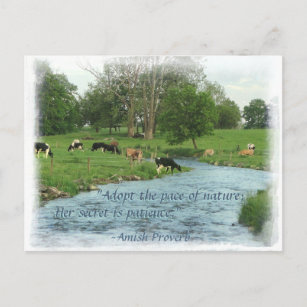 Carte postale Lancaster Amish ! Proverbe Amish ! V