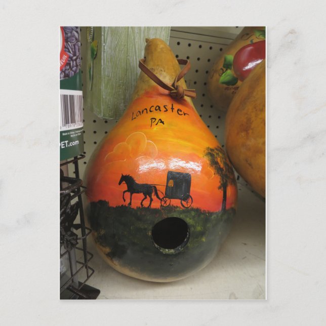 Carte Postale Lancaster Birdhouse (Devant)
