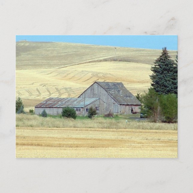 Carte Postale L'ancienne ferme (Devant)