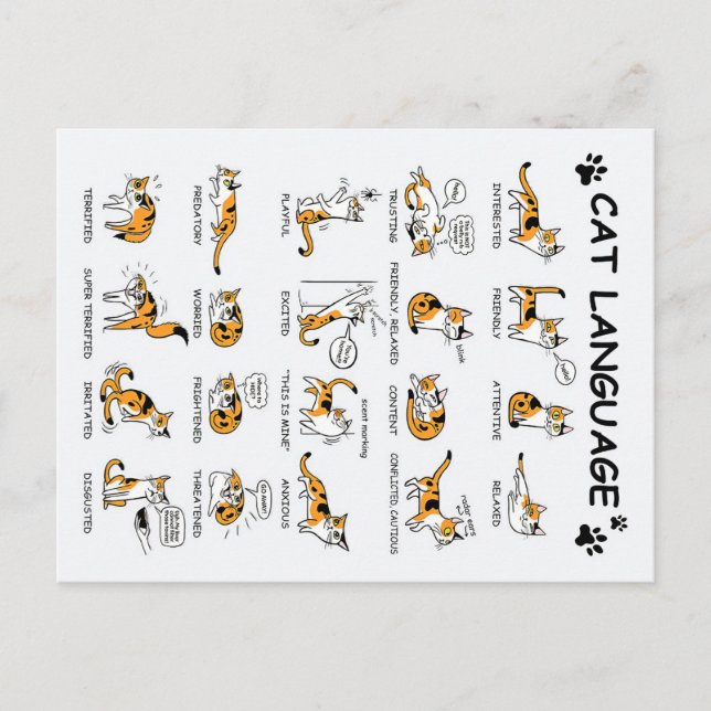 Carte Postale Langue de chat, Drôle Chat Kitten, Aimer Idée cade (Devant)