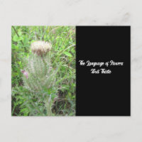 Langue des fleurs chardon
