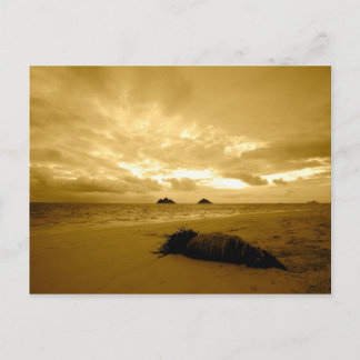 Carte postale Lanikai Sunrise