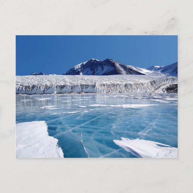 Carte Postale L'Antarctique (Devant)