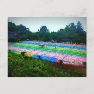 Carte Postale Lanternes à Seokguram Grotto, Corée du Sud