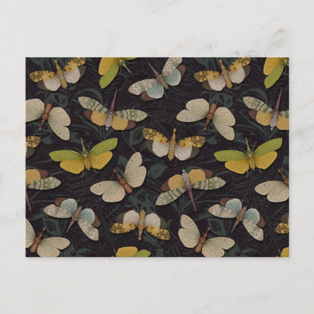 Carte Postale Lanternflies - Pyrops Candelaria & autres Planthop (Devant)