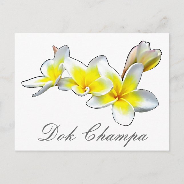 CARTE POSTALE LAO FLOWER DOK CHAMPA - PLUMERIA RUBRA (Devant)