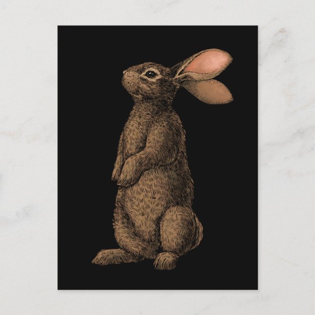 Carte Postale Lapin (Devant)