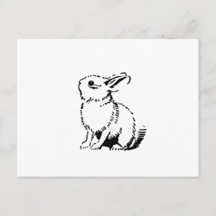 Carte Postale lapin