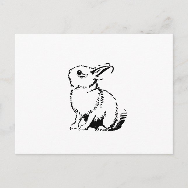 Carte Postale lapin (Devant)
