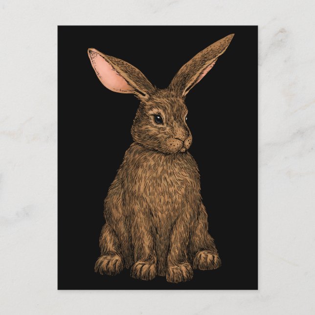 Carte Postale Lapin 3 (Devant)