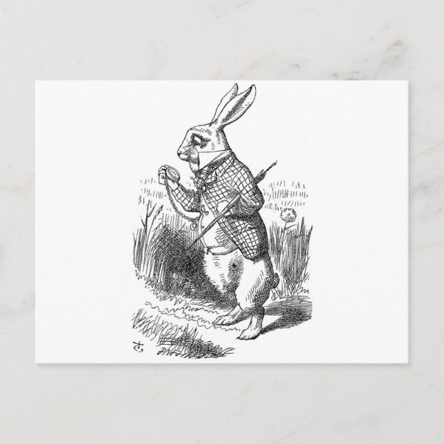 Carte Postale Lapin blanc (Devant)