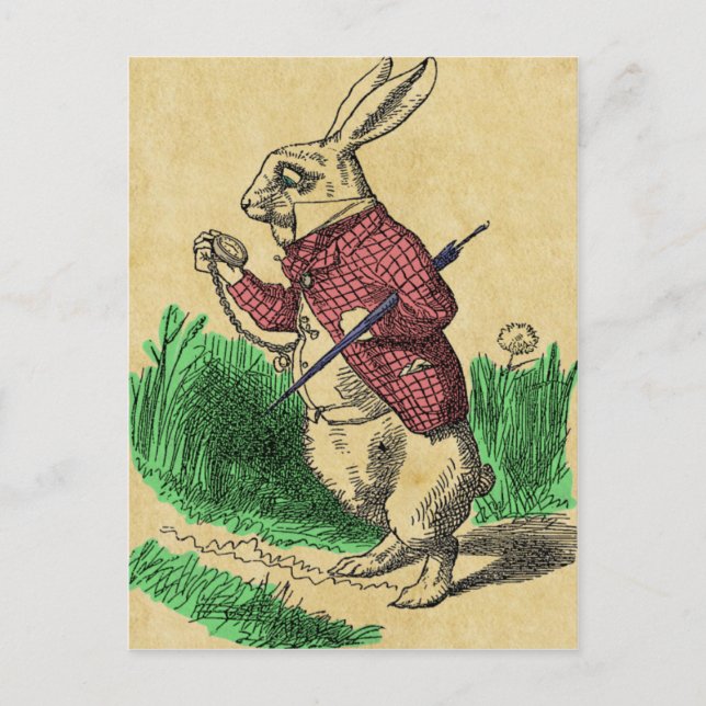 Carte postale Lapin Blanc (Devant)