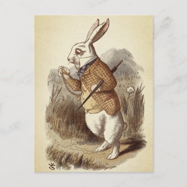 Carte Postale Lapin blanc (Devant)