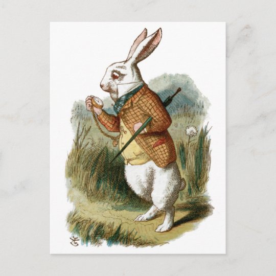 Carte Postale Lapin Blanc D Alice Au Pays Des Merveilles Zazzle Fr