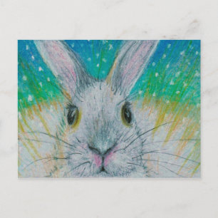 Carte Postale Lapin blanc dans la neige !
