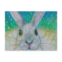 Lapin blanc dans la neige !