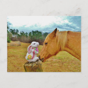 Carte Postale Lapin blanc et Cheval jaune