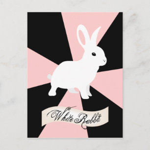 Carte Postale Lapin blanc, rose et blanc