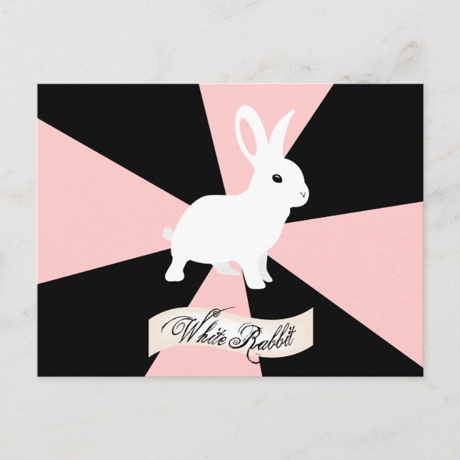 Carte Postale Lapin blanc, rose, noir et blanc (Devant)