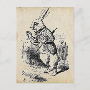 Carte Postale Lapin blanc vintage