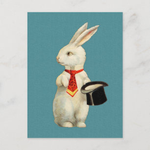 Carte Postale Lapin blanc vintage