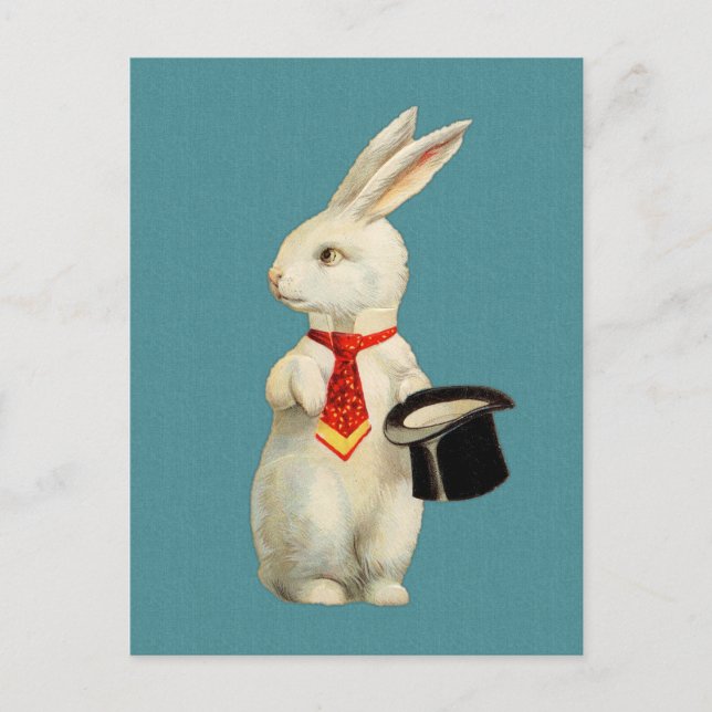Carte Postale Lapin blanc vintage (Devant)