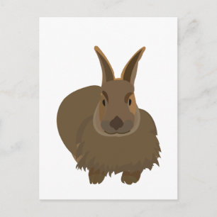 Carte Postale Lapin Bunny