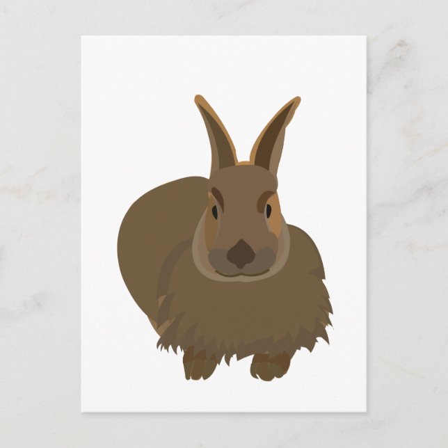 Carte Postale Lapin Bunny  (Devant)