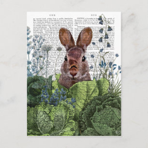 Carte Postale Lapin dans une patte de chou