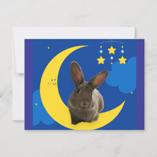Carte Postale Lapin de Lune