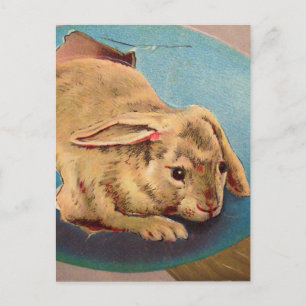 Carte Postale Lapin de Pâques vintage