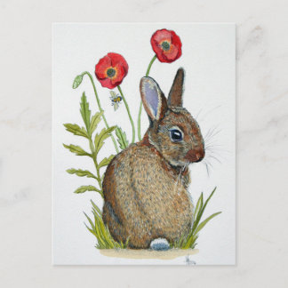 Carte Postale 'Lapin De Pavot'