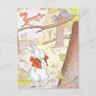 Carte Postale Lapin et écureuils bruyants
