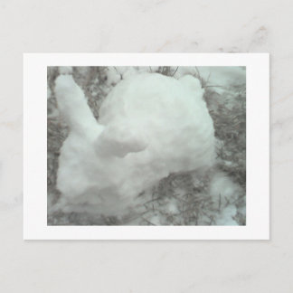 Carte Postale Lapin fait de neige !