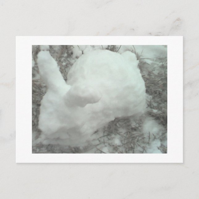 Carte Postale Lapin fait de neige ! (Devant)