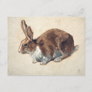 Carte Postale Lapin   Floris Verster