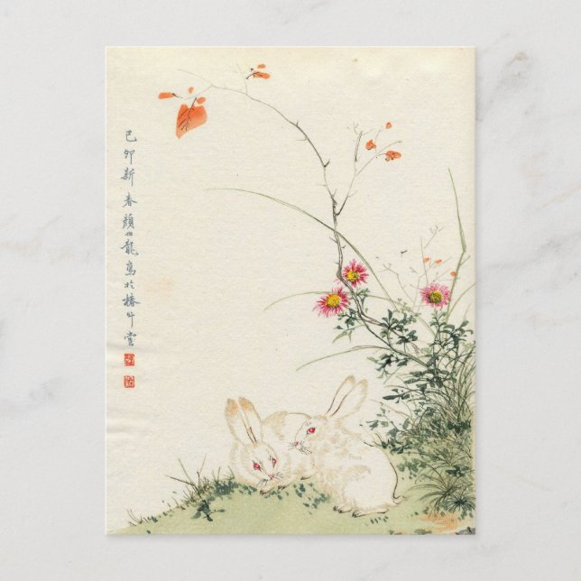 Carte Postale Lapin japonais (Devant)